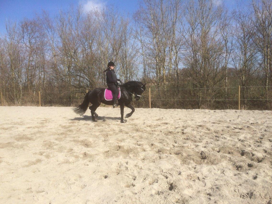 Anden særlig race Frejse (Freja) solgt - marts 2015 billede 8