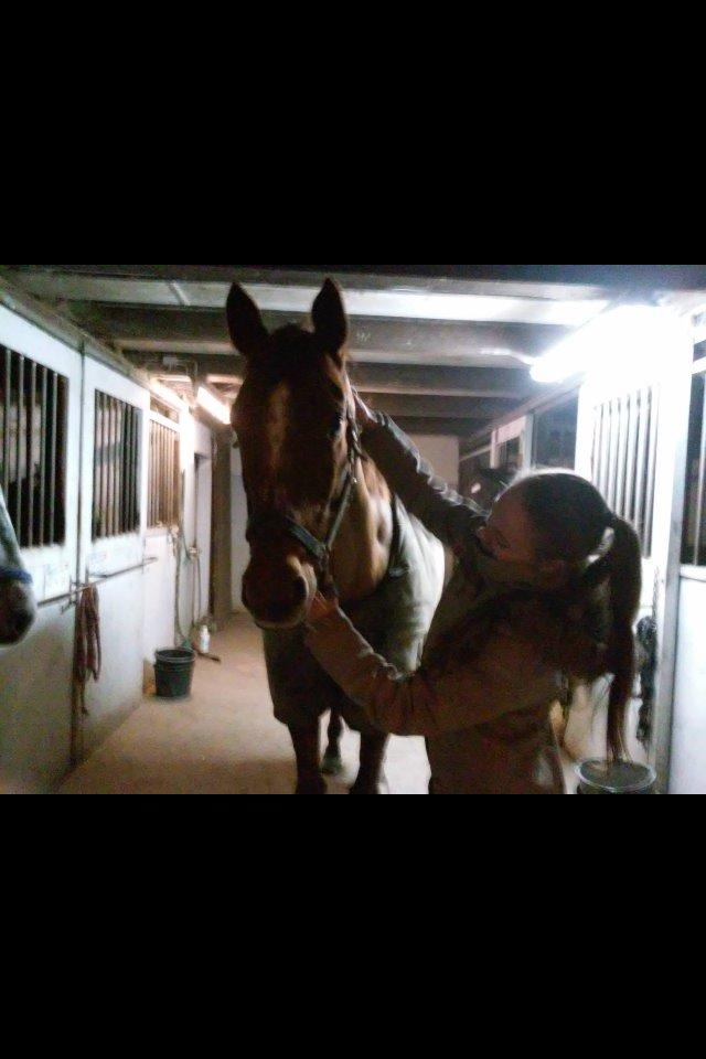 Fuldblod (XX) Red lightning xx (den) - et par dage før vi købte hende billede 10