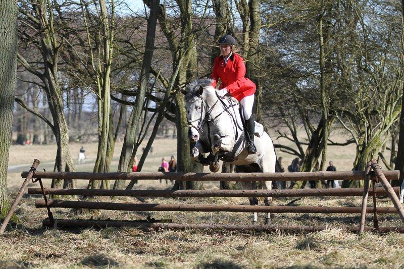 Knabstrupper Rikke Af Dutterup billede 14