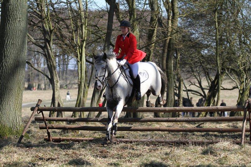 Knabstrupper Rikke Af Dutterup billede 18