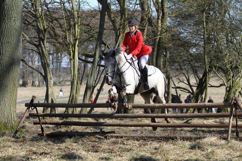 Knabstrupper Rikke Af Dutterup billede 10