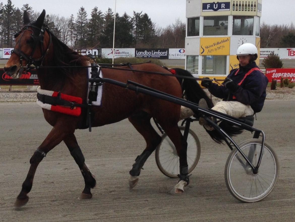 Traver Magic frazer - 7 apil15 så fik vi en sulky til ham billede 17