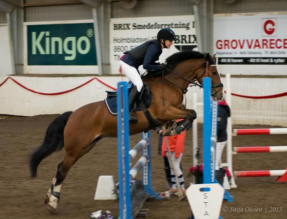 Irsk Sportspony Knockcullen Lass | B-pony | - MB** billede 8