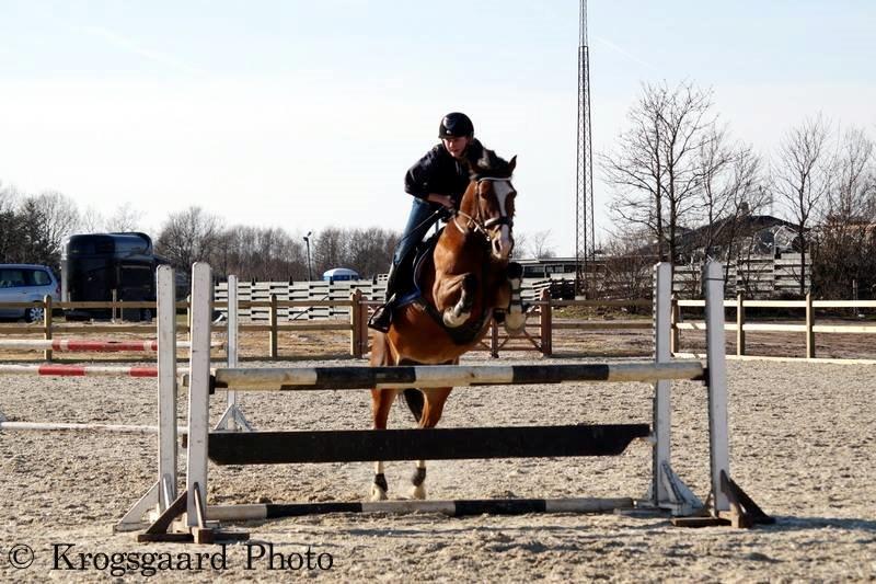 Irsk Sportspony Knockcullen Lass | B-pony | - På den nye udendørs springbane i HRV. Taget af Krogsgaard photo billede 9