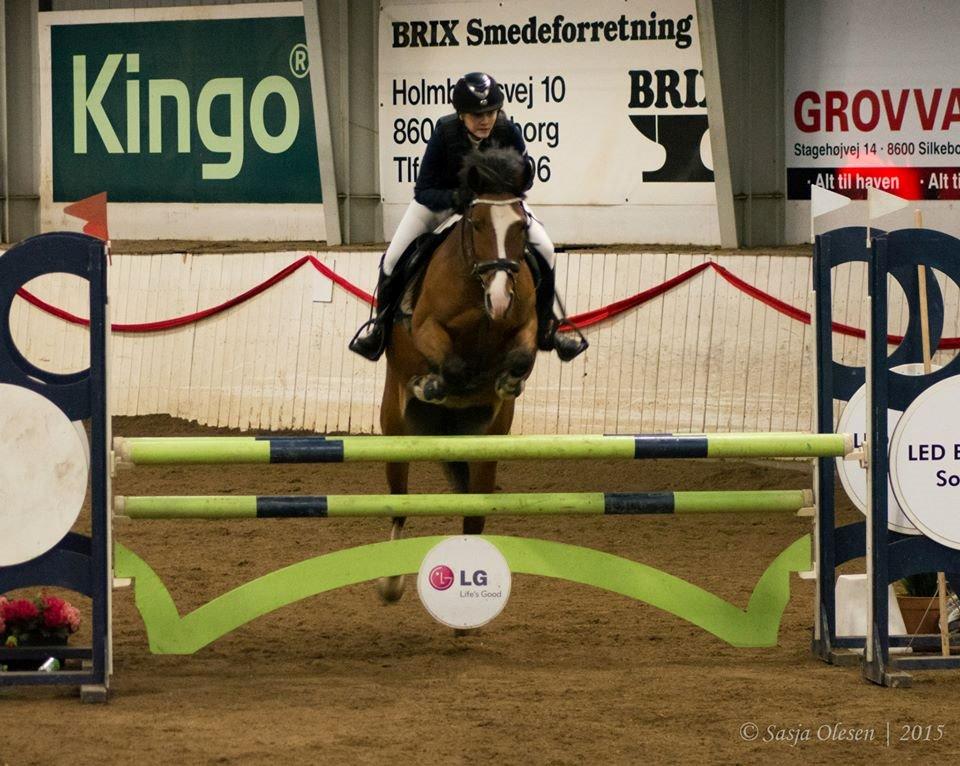 Irsk Sportspony Knockcullen Lass | B-pony | - Vores første MA*! 0 fejl + 4 plads <3 billede 12