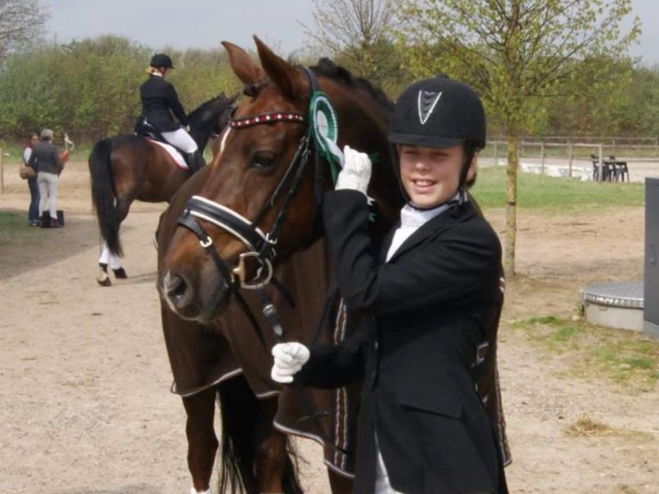 Welsh Cob (sec D) Magic Marie billede 13