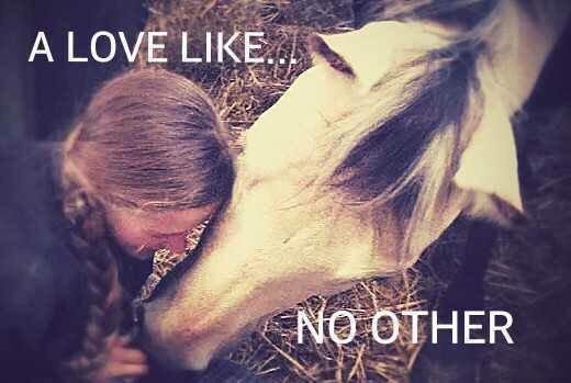 Anden særlig race Wimpie billede 15