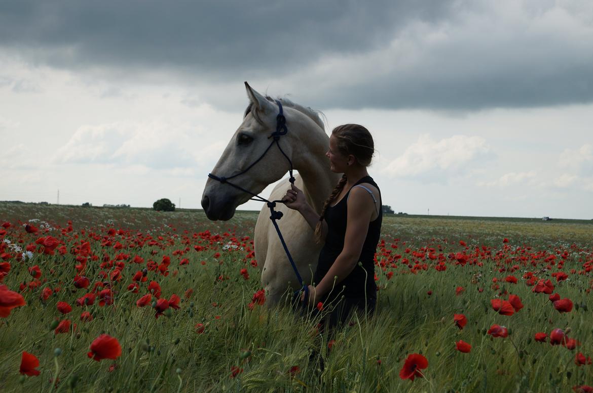 Anden særlig race Wimpie billede 16