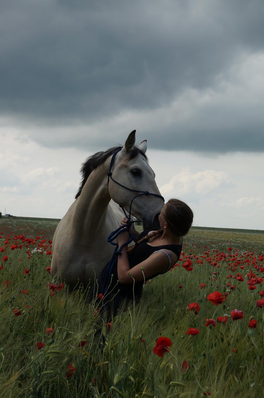 Anden særlig race Wimpie billede 18