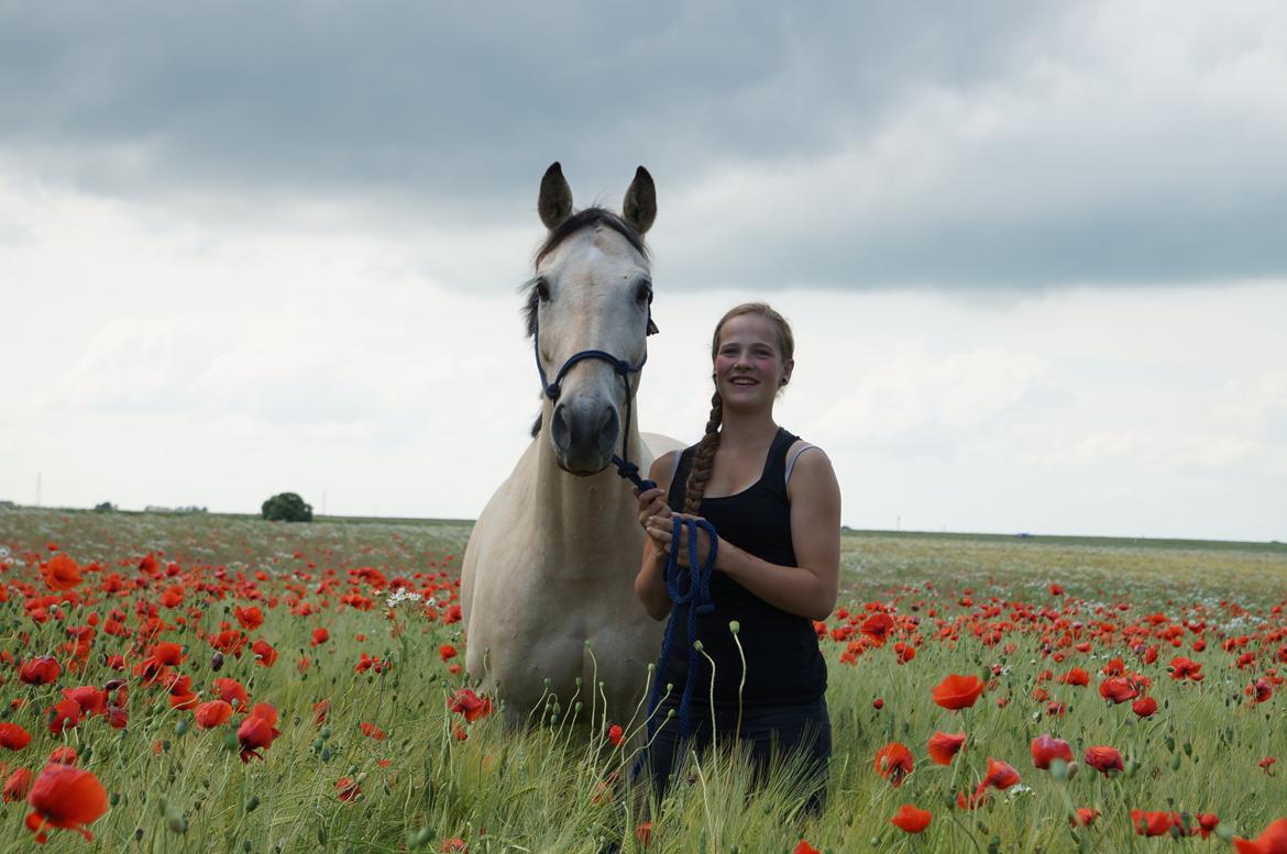 Anden særlig race Wimpie billede 19