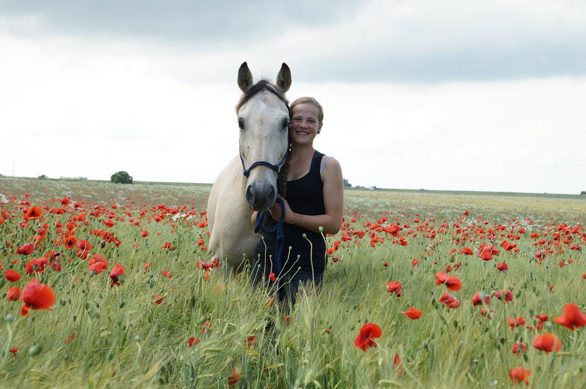 Anden særlig race Wimpie billede 17