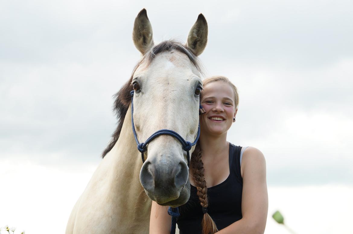 Anden særlig race Wimpie billede 20