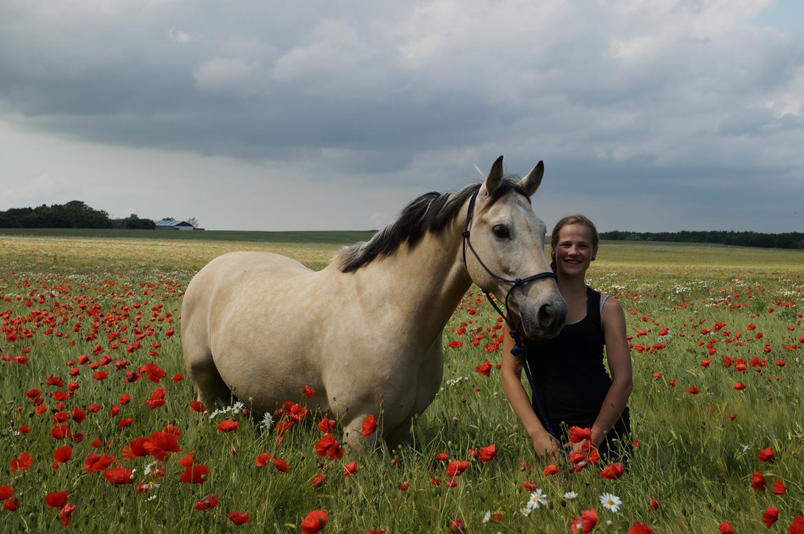 Anden særlig race Wimpie billede 21