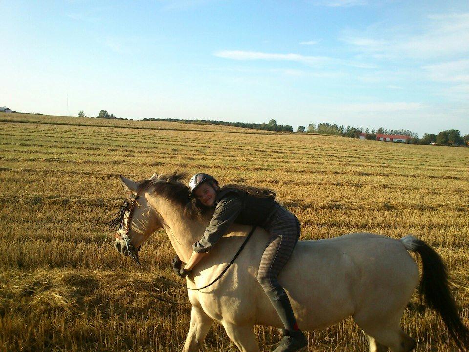 Anden særlig race Wimpie billede 28