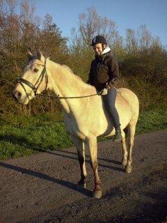 Anden særlig race Wimpie billede 32