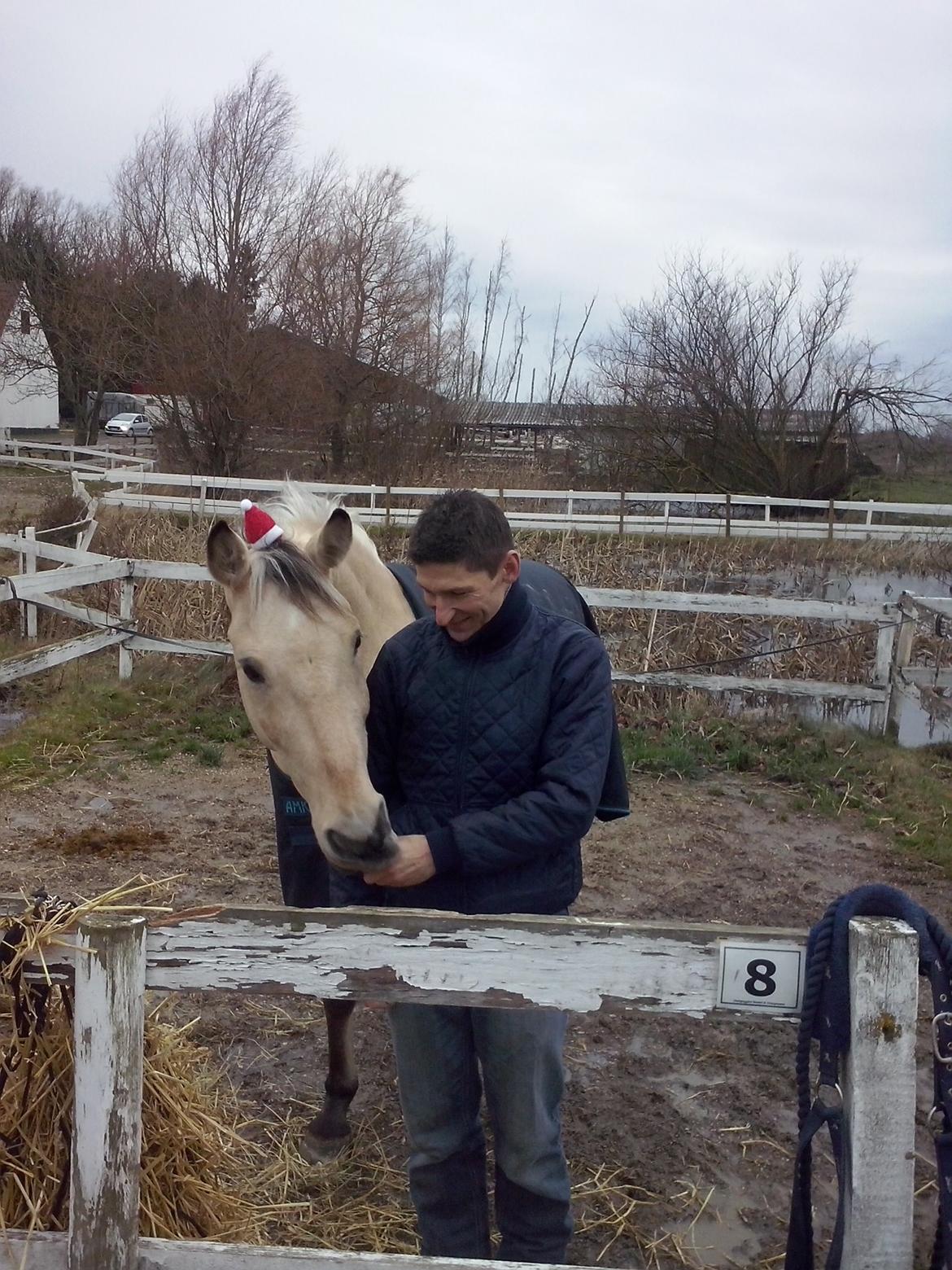 Anden særlig race Wimpie billede 39