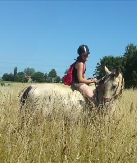 Anden særlig race Wimpie billede 41