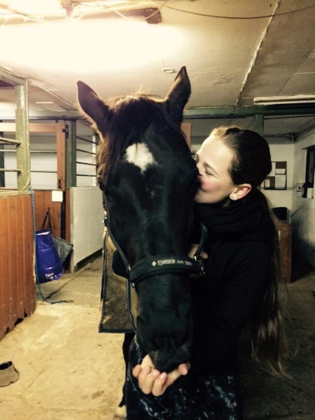 Trakehner McLaren G - Skulle lige have et kys inden jeg tog på ferie 5:00 ;-) billede 10