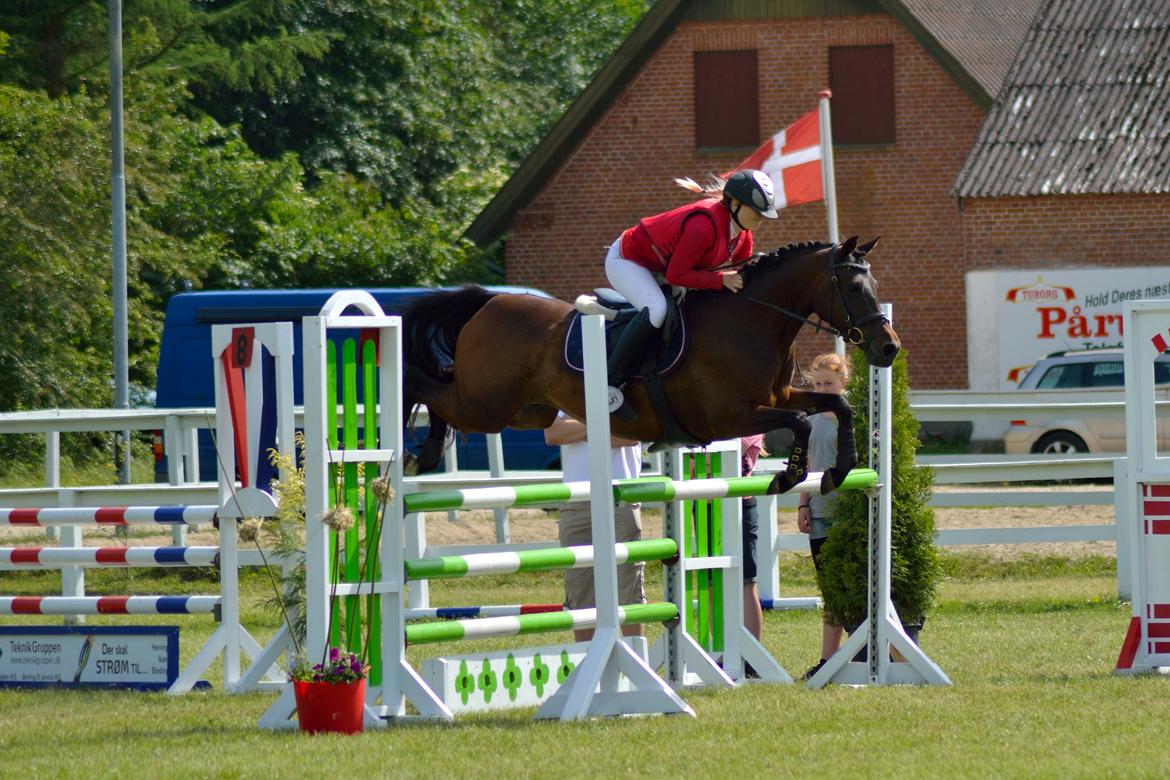 DSP Day-lights naomi - Hun er blevet så dygtig!! Mb omspring bording distriksmesterskab 2014 anden plads<3 billede 1