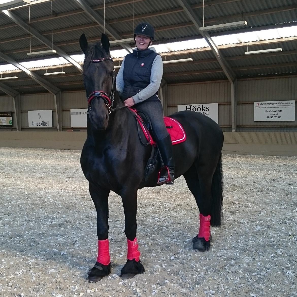 Frieser Horst fan de Harr billede 2