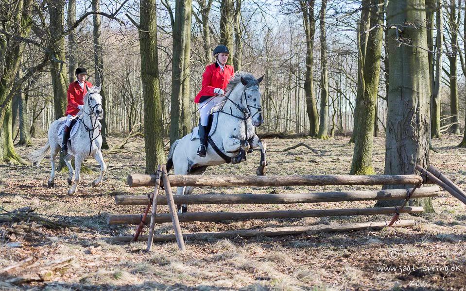Knabstrupper Rikke Af Dutterup billede 20