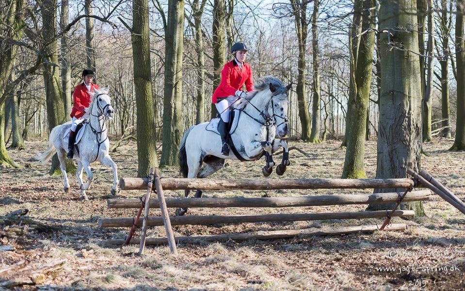 Knabstrupper Rikke Af Dutterup billede 16