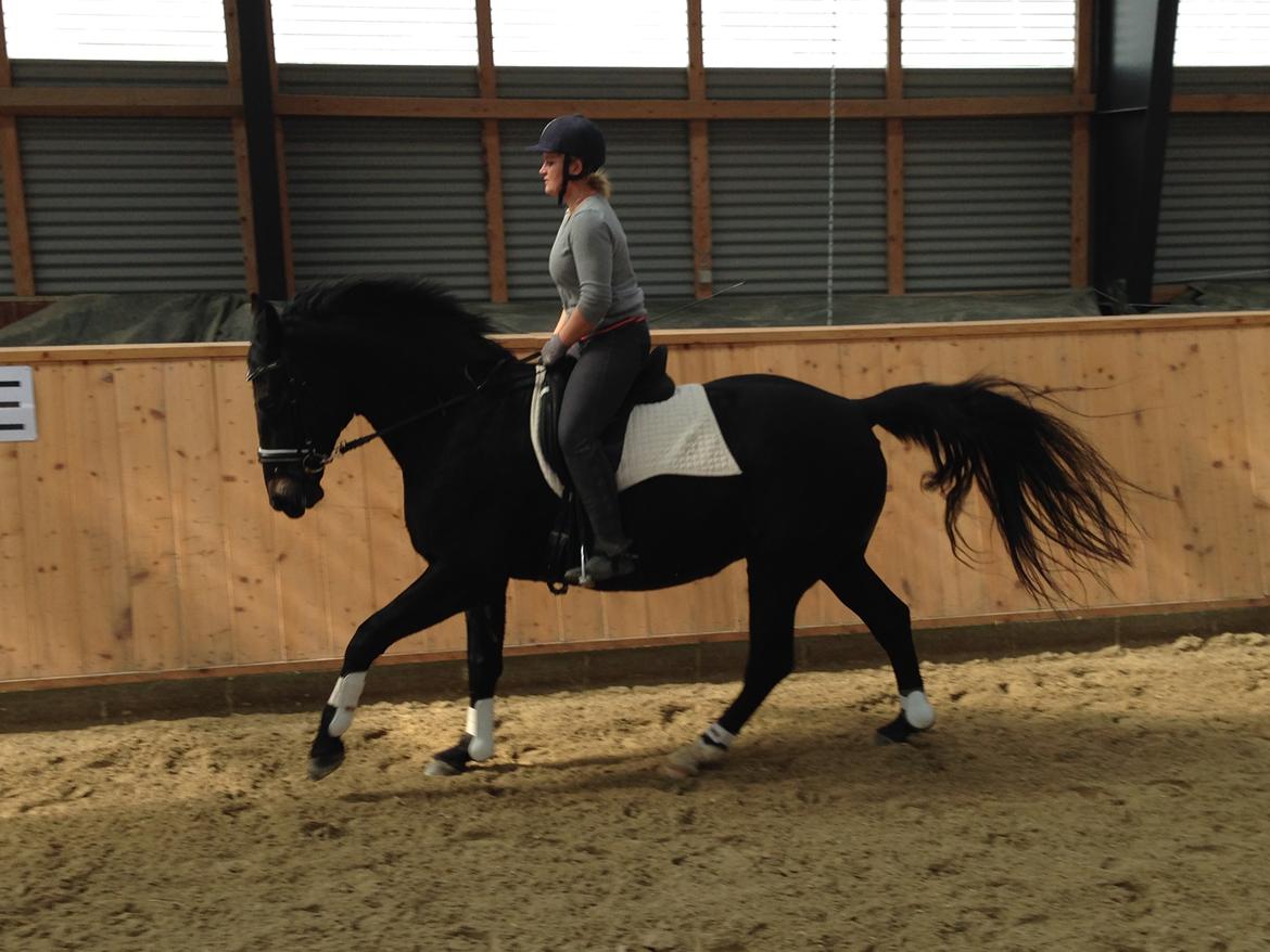 Oldenborg Schousboes Fie billede 6