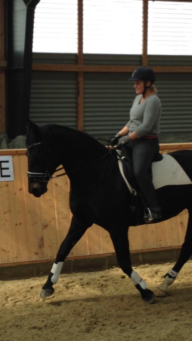 Oldenborg Schousboes Fie billede 11