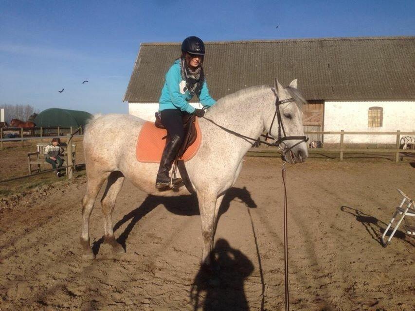 Pura Raza Española Generosa C.  billede 20