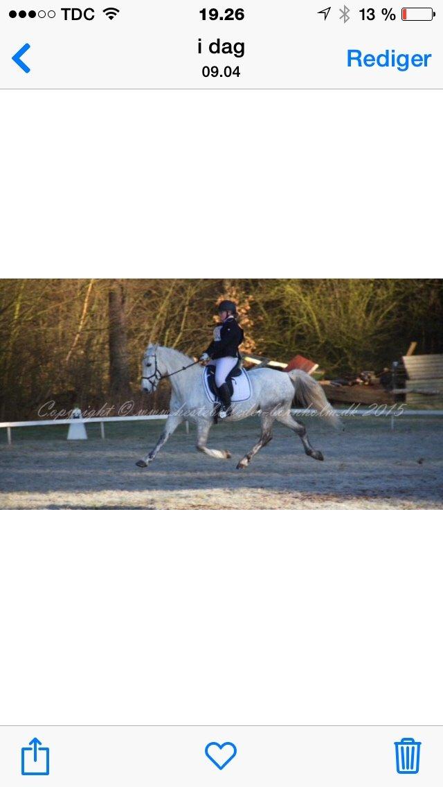 Anden særlig race Cassie fleur (RIP) billede 9