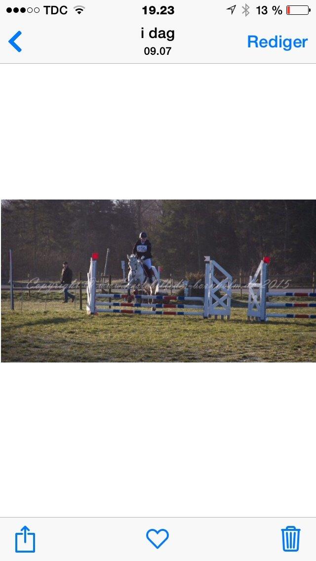 Anden særlig race Cassie fleur (RIP) billede 10