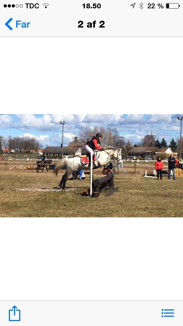 Anden særlig race Cassie fleur (RIP) billede 14