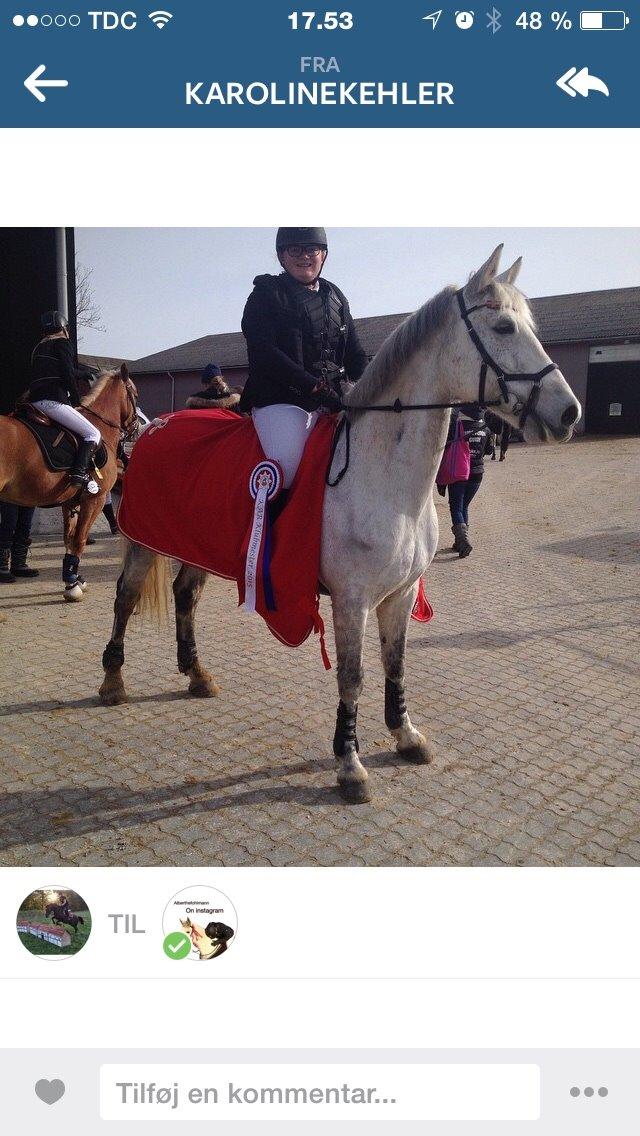 Anden særlig race Cassie fleur (RIP) billede 15