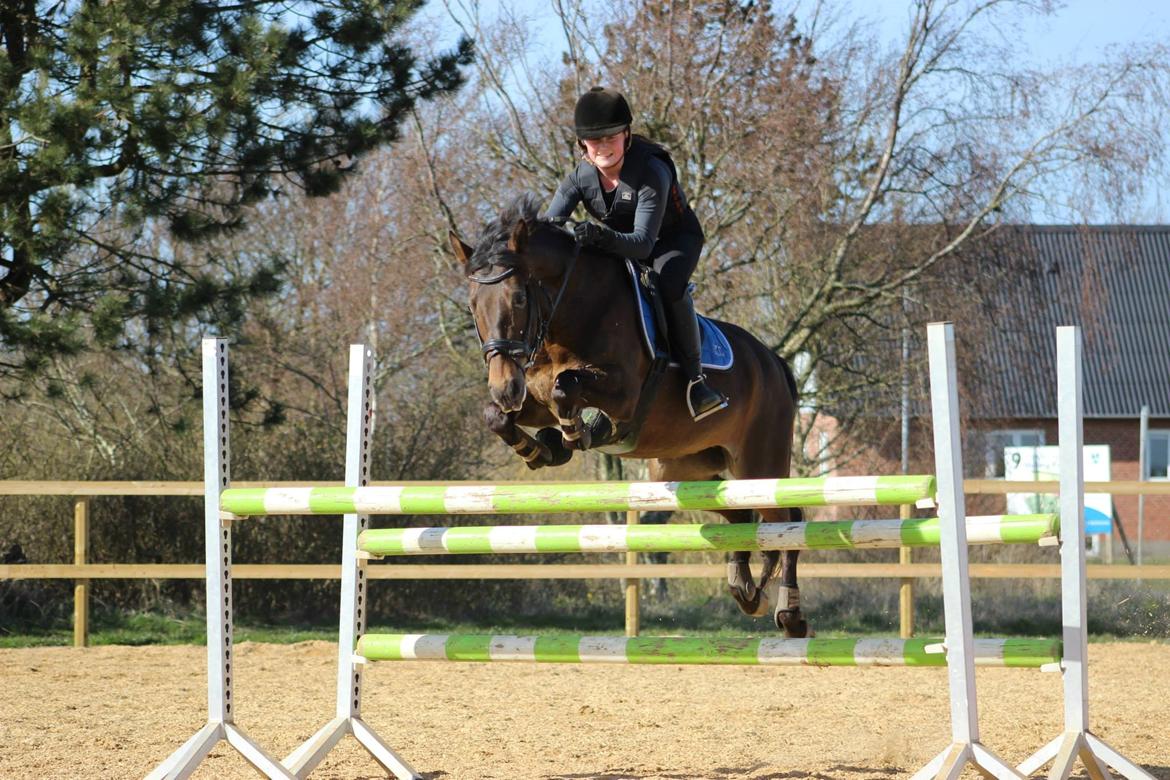 Anden særlig race Åbygårds Trisha billede 1