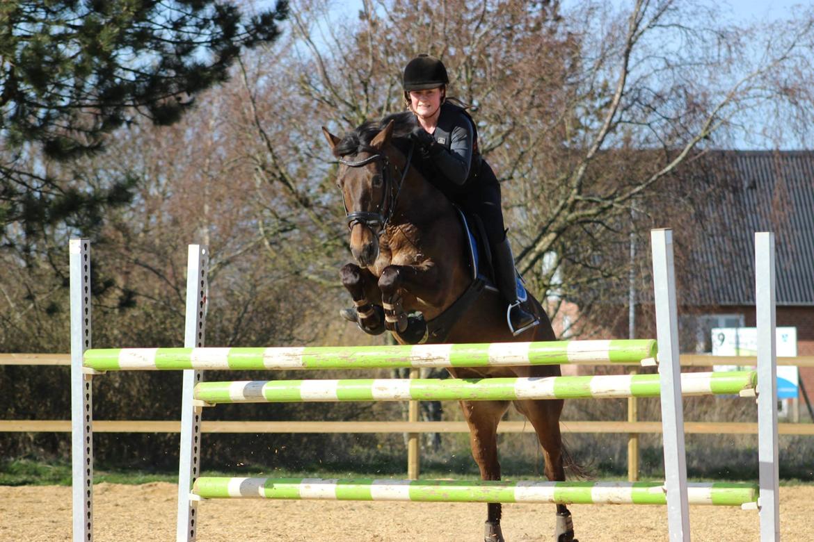 Anden særlig race Åbygårds Trisha billede 13