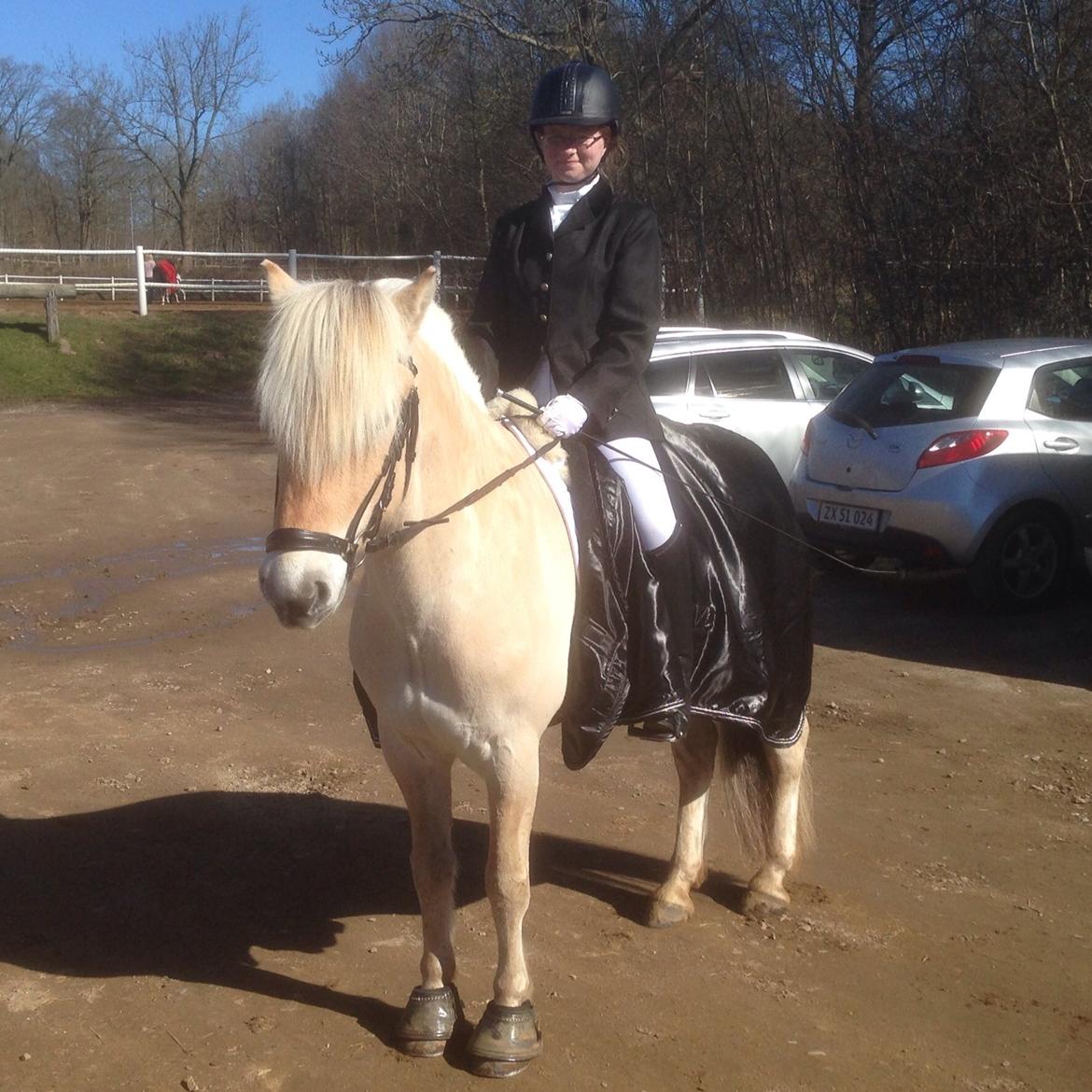 Fjordhest Stald Kiels Natur - Vores første stævne sammen :) billede 5