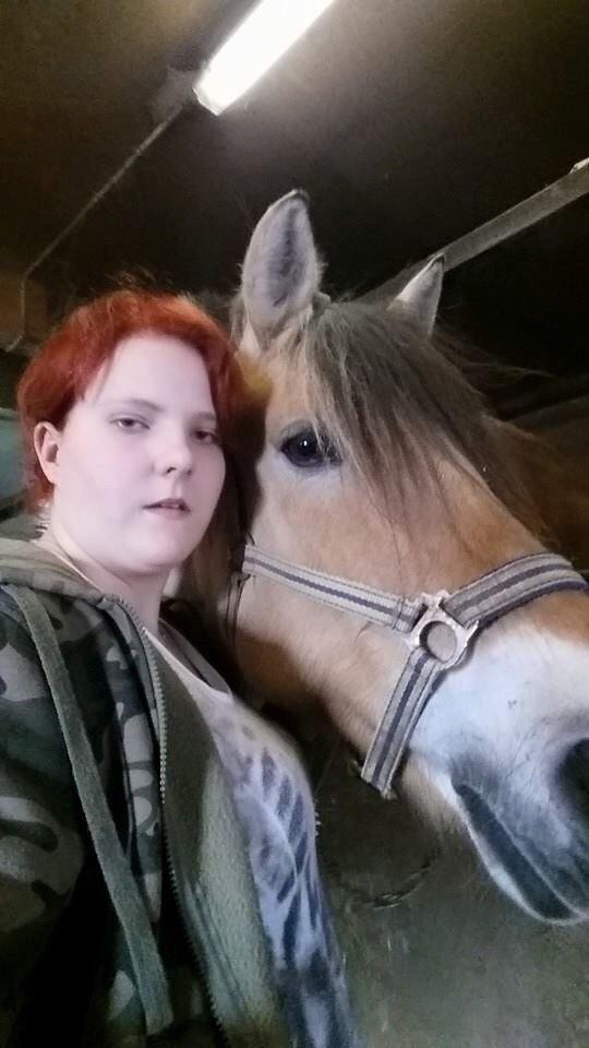 Fjordhest Freja billede 4