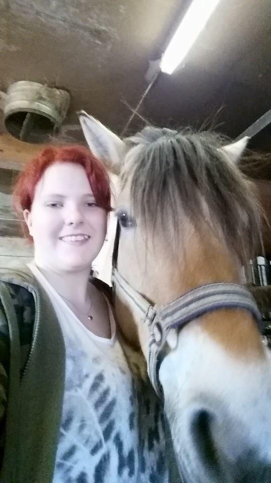 Fjordhest Freja billede 5