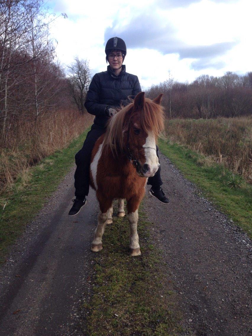 Anden særlig race Tito billede 18