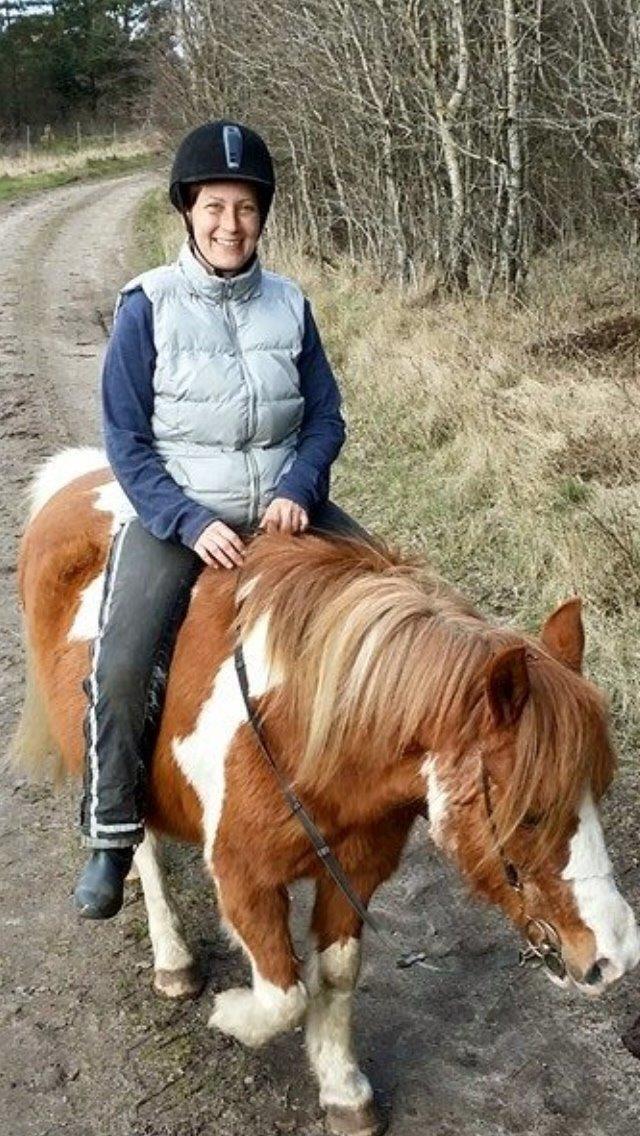 Anden særlig race Tito billede 17