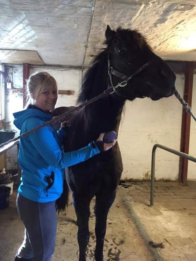 New Forest Calandias Blackjack billede 19