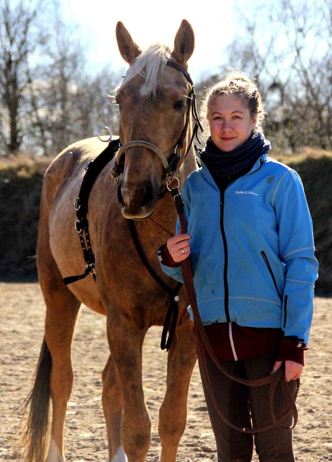 Anden særlig race Horsebjerg Gambler "MALIK" - Velkommen til Maliks profil :-) billede 1