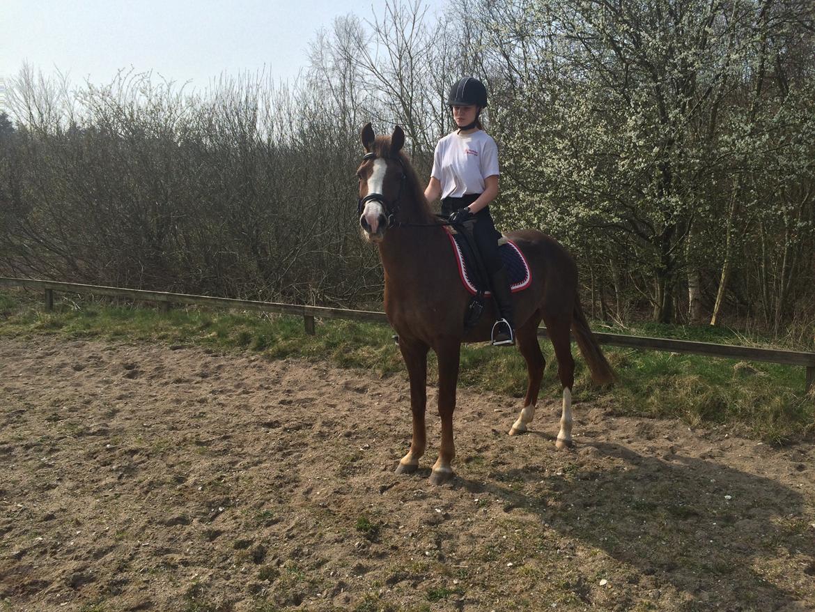 Anden særlig race Hanna Montana - Første udendørs træning! :) billede 3