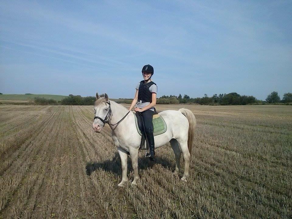 Connemara Moon Leight billede 2