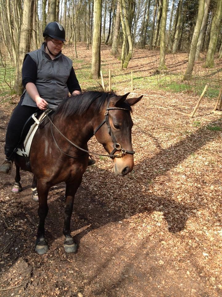 Oldenborg VESTERBÆKS EMILY - skovtur 11/4-2015 billede 8