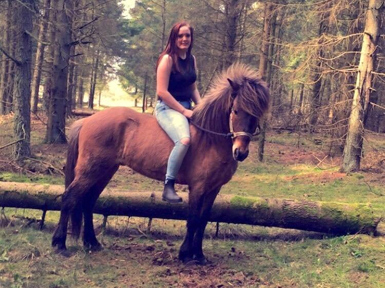 Islænder Magnus billede 3