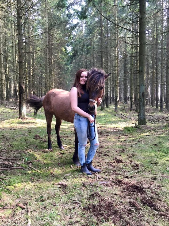 Islænder Magnus billede 6