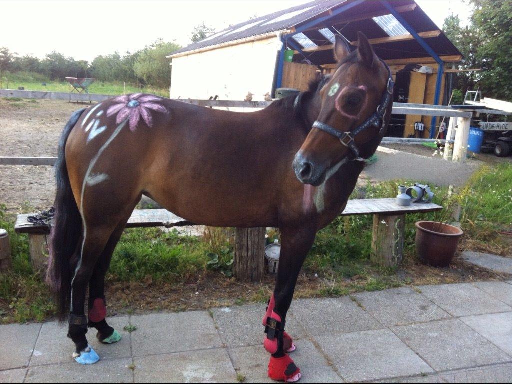 DSP coco chanel billede 7