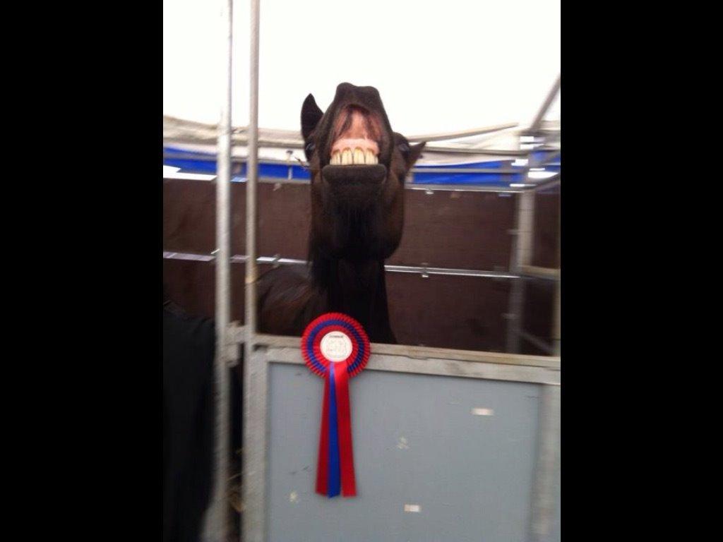 DSP coco chanel billede 11