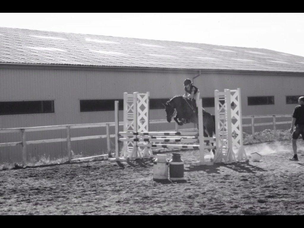 DSP coco chanel billede 12